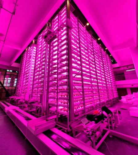 泰达仪人工气候室--全球首座超高层无人化植物工厂正式投入运行