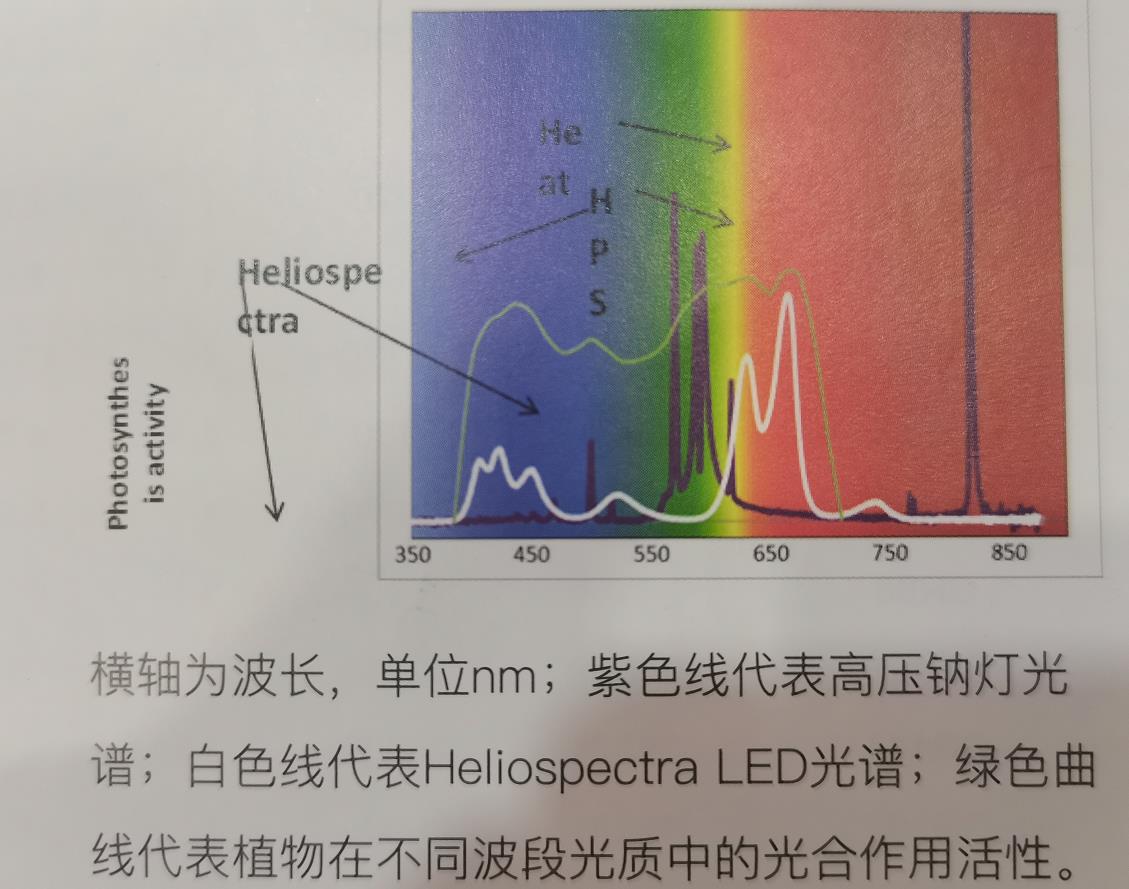 定制LED植物补光灯-植物组培专用灯(长条灯管) 定制LED植物补光灯-植物组培专用灯(长条灯管)