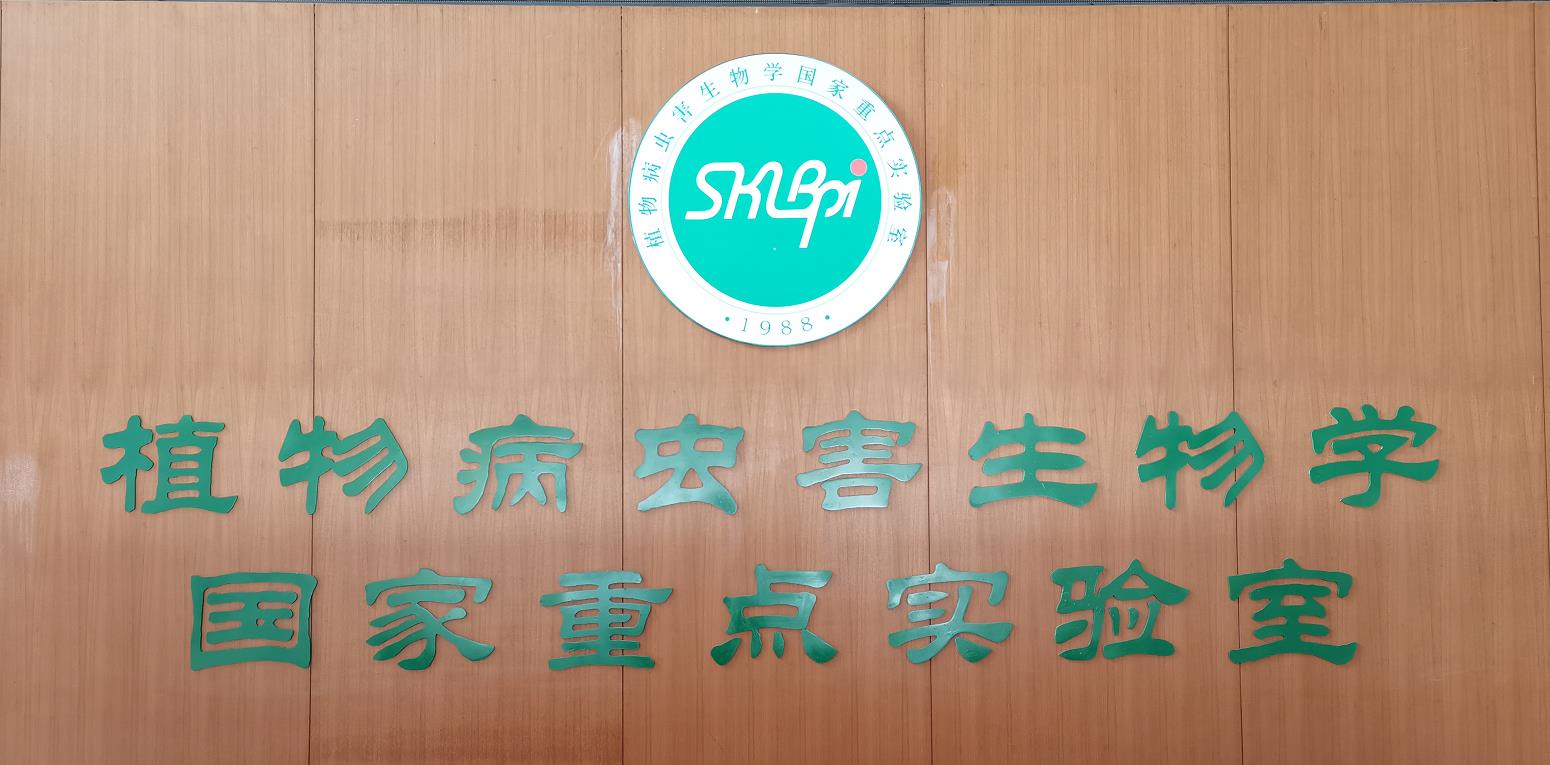中国农科院-植物病虫害生物国重-人工气候室验收 中国农科院-植物病虫害生物国重-人工气候室验收