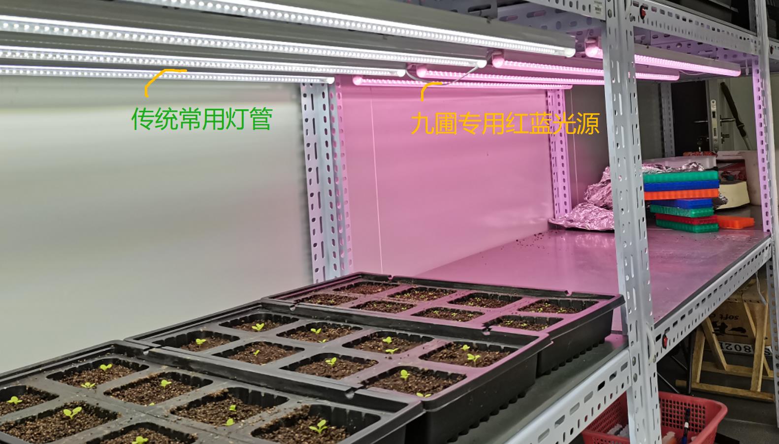 LED植物灯-植物组培灯 长120CM